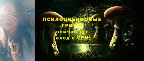 герыч Магас