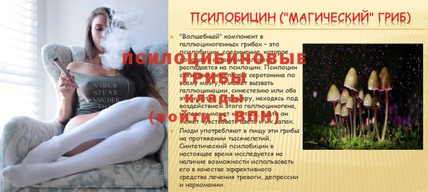 герыч Магас