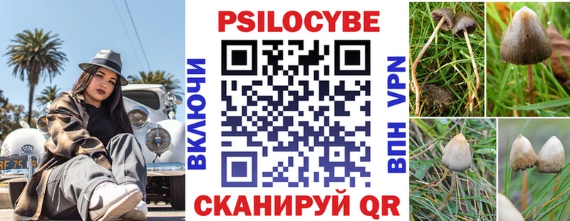 Псилоцибиновые грибы Psilocybe  цены наркотик  hydra tor  Шумиха 